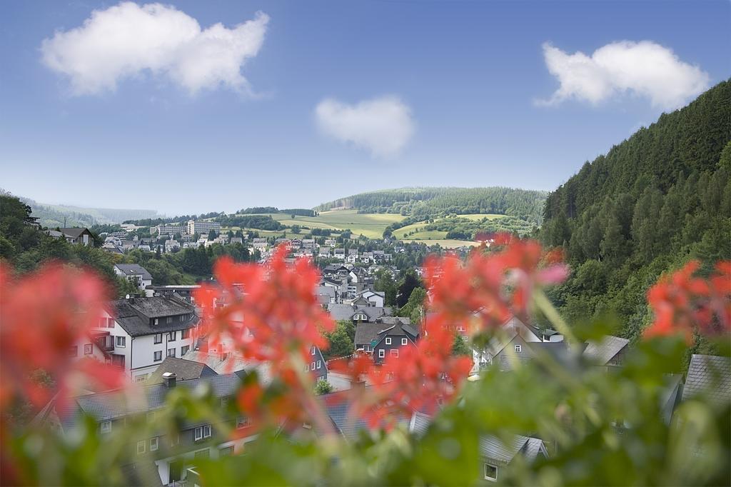Cafe Alt Willingen Lejlighed Værelse billede